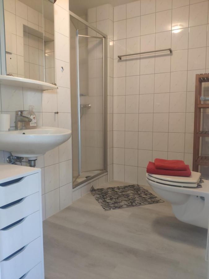 Grosses Apartment Mit Kueche U Terrasse In Freiburg Eksteriør bilde